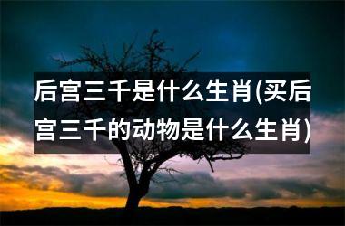 <h3>后宫三千是什么生肖(买后宫三千的动物是什么生肖)