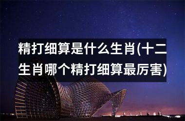 <h3>精打细算是什么生肖(十二生肖哪个精打细算厉害)