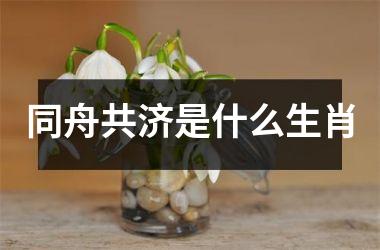 同舟共济是什么生肖