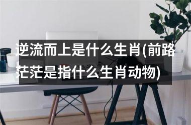 逆流而上是什么生肖(前路茫茫是指什么生肖动物)