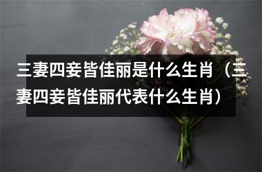<h3>三妻四妾皆佳丽是什么生肖（三妻四妾皆佳丽代表什么生肖）