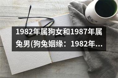 <h3>1982年属狗女和1987年属兔男(狗兔姻缘：1982年属狗女与1987年属兔男的爱情故事)