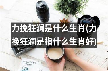 <h3>力挽狂澜是什么生肖(力挽狂澜是指什么生肖好)