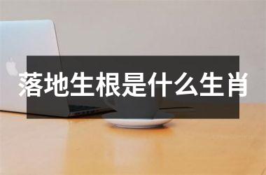 <h3>落地生根是什么生肖