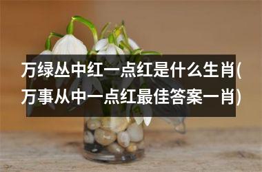 万绿丛中红一点红是什么生肖(万事从中一点红佳答案一肖)