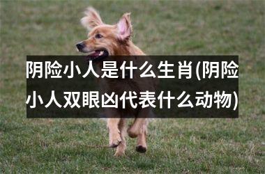 <h3>阴险小人是什么生肖(阴险小人双眼凶代表什么动物)