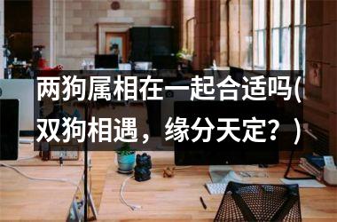 两狗属相在一起合适吗(双狗相遇，缘分天定？)