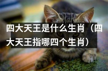 <h3>四大天王是什么生肖（四大天王指哪四个生肖）