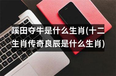 蹊田夺牛是什么生肖(十二生肖传奇良辰是什么生肖)