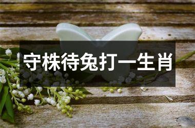 <h3>守株待兔打一生肖