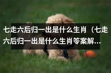 <h3>七走六后归一出是什么生肖（七走六后归一出是什么生肖笭案解一下释）