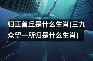 <h3>归正首丘是什么生肖(三九众望一所归是什么生肖)