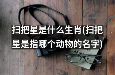 扫把星是什么生肖(扫把星是指哪个动物的名字)