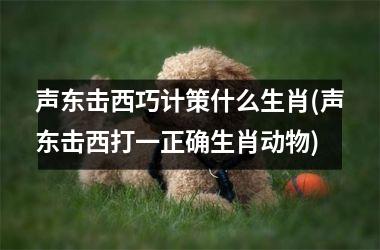 <h3>声东击西巧计策什么生肖(声东击西打一正确生肖动物)