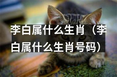 <h3>李白属什么生肖（李白属什么生肖号码）