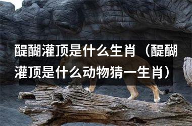 <h3>醍醐灌顶是什么生肖（醍醐灌顶是什么动物猜一生肖）
