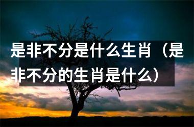 <h3>是非不分是什么生肖（是非不分的生肖是什么）