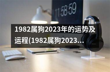 1982属狗2025年的运势及运程(1982属狗2025年运势解析)