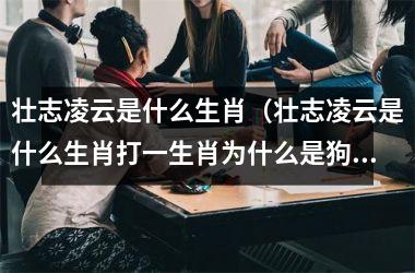 <h3>壮志凌云是什么生肖（壮志凌云是什么生肖打一生肖为什么是狗）