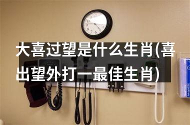 <h3>大喜过望是什么生肖(喜出望外打一佳生肖)