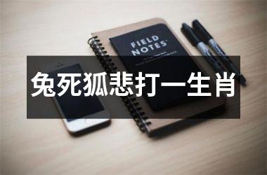 <h3>兔死狐悲打一生肖
