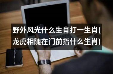 野外风光什么生肖打一生肖(龙虎相随在门前指什么生肖)