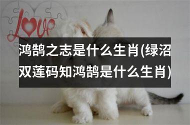 <h3>鸿鹄之志是什么生肖(绿沼双莲码知鸿鹄是什么生肖)