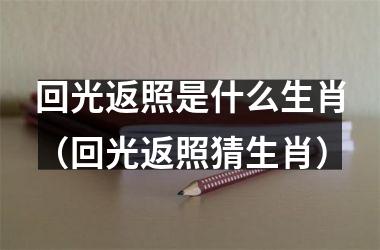 <h3>回光返照是什么生肖（回光返照猜生肖）