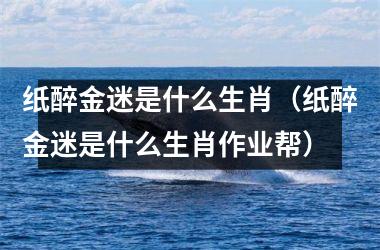 <h3>纸醉金迷是什么生肖（纸醉金迷是什么生肖作业帮）