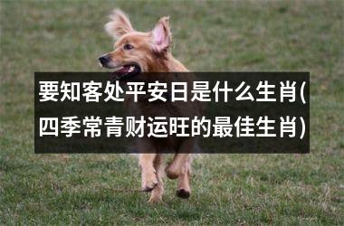 <h3>要知客处平安日是什么生肖(四季常青财运旺的佳生肖)