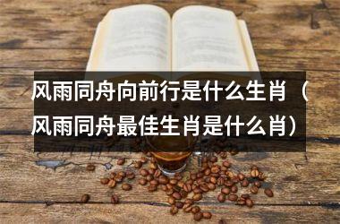 风雨同舟向前行是什么生肖（风雨同舟佳生肖是什么肖）