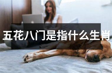 五花八门是指什么生肖
