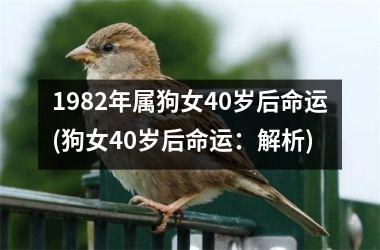 <h3>1982年属狗女40岁后命运(狗女40岁后命运：解析)
