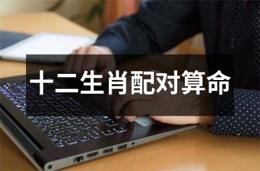 <h3>十二生肖配对算命