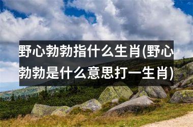 <h3>野心勃勃指什么生肖(野心勃勃是什么意思打一生肖)