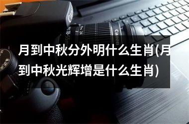 月到中秋分外明什么生肖(月到中秋光辉增是什么生肖)