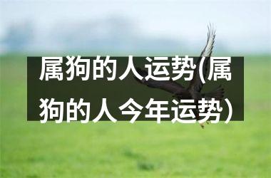 <h3>属狗的人运势(属狗的人今年运势）