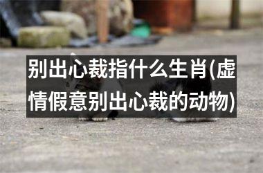 <h3>别出心裁指什么生肖(虚情假意别出心裁的动物)