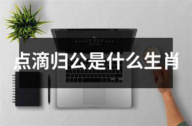 <h3>点滴归公是什么生肖