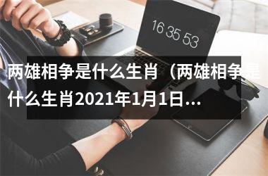 <h3>两雄相争是什么生肖（两雄相争是什么生肖2025年1月1日）