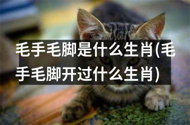 <h3>毛手毛脚是什么生肖(毛手毛脚开过什么生肖)