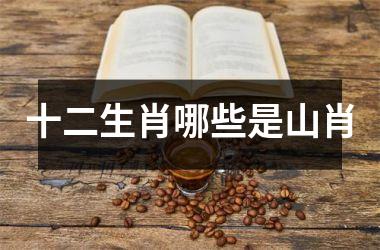 <h3>十二生肖哪些是山肖