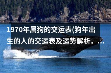 1970年属狗的交运表(狗年出生的人的交运表及运势解析。)