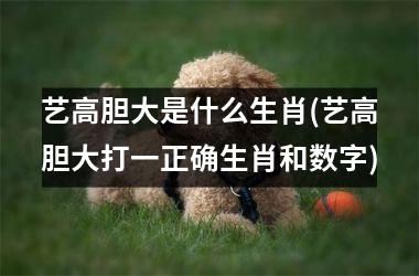 艺高胆大是什么生肖(艺高胆大打一正确生肖和数字)