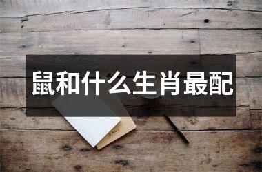 <h3>鼠和什么生肖配