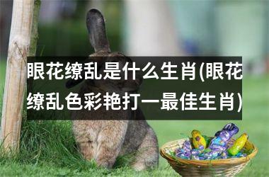 眼花缭乱是什么生肖(眼花缭乱色彩艳打一佳生肖)