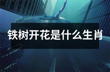 <h3>铁树开花是什么生肖