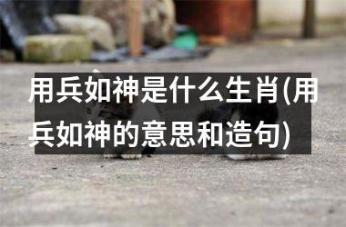 用兵如神是什么生肖(用兵如神的意思和造句)