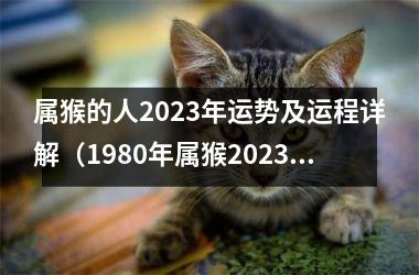 <h3>属猴的人2025年运势及运程详解（1980年属猴2025年运程）