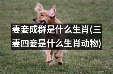 <h3>妻妾成群是什么生肖(三妻四妾是什么生肖动物)